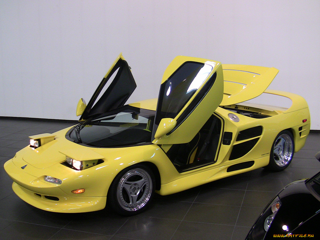 , vector
